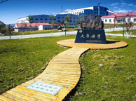 德州天华矿业集团